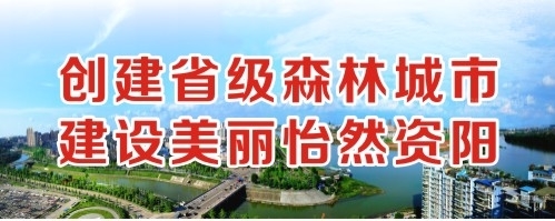 大鸡把日比视频创建省级森林城市 建设美丽怡然资阳